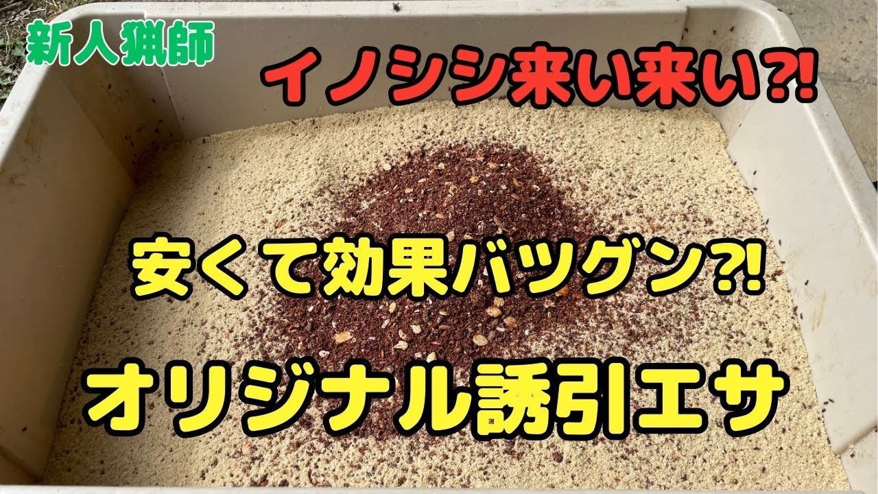 安くて効果バツグン⁈ イノシシ用オリジナル誘引エサ　#有害鳥獣捕獲 #愛媛