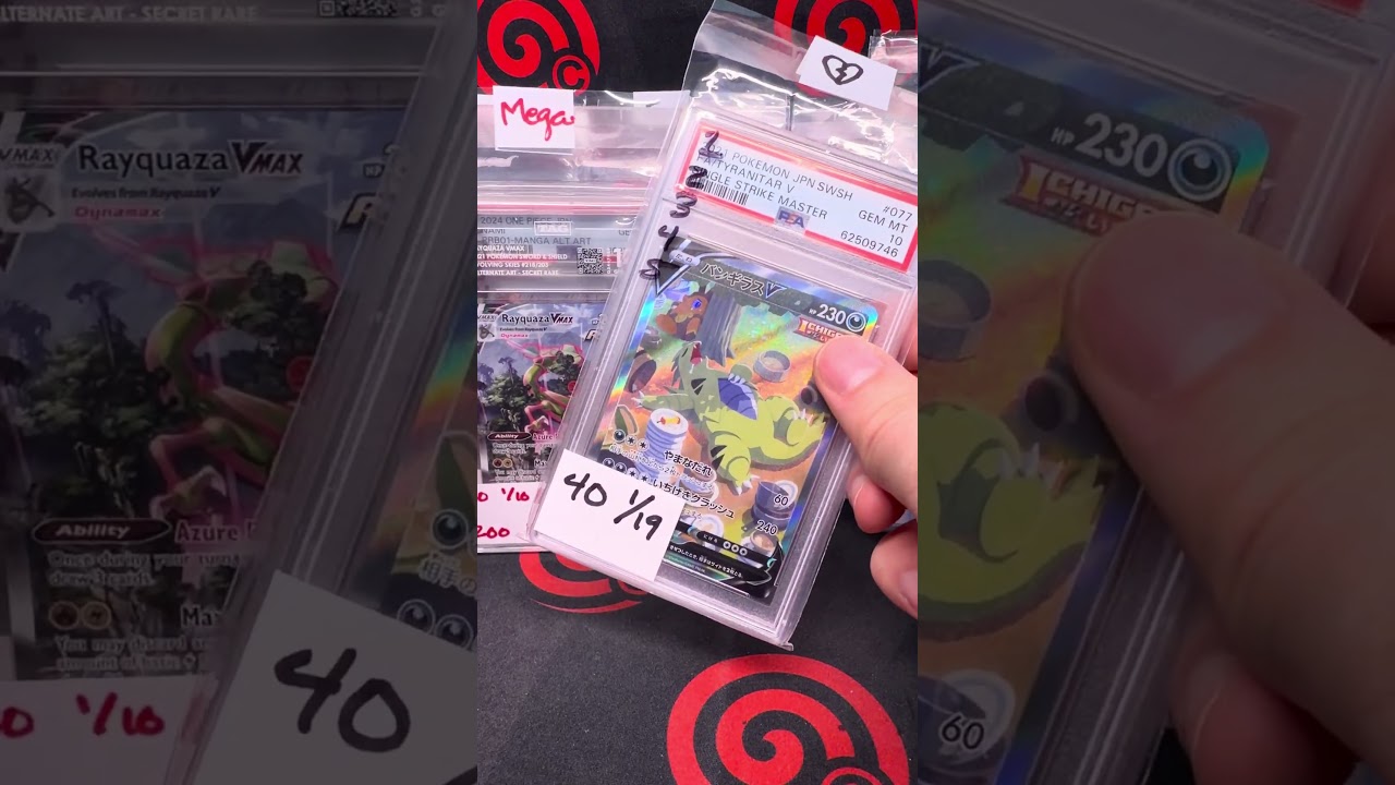 END OF MARCH BREAKS - NEW GYM PACK #pokemoncards