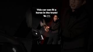 The Xpeng P7 Is Not Horsing Around...