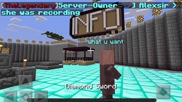 How to do nametags on mobs (in MCPE LEET Server)