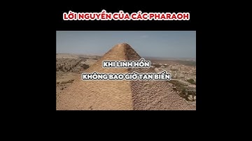 Lời Nguyền Pharaon Có Thật Không? #shorts #kimtuthap #bianquanhta #khampha #bian #kienthuc