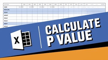 How to Calculate Probability Value in Excel | P-Value in Statistical Hypothesis Tests [GUIDE]
