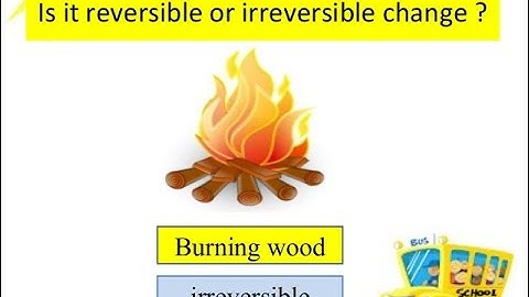 GRADE 6 |PART -1|Ch- 6  CHANGES AROUND US, SCIENCE