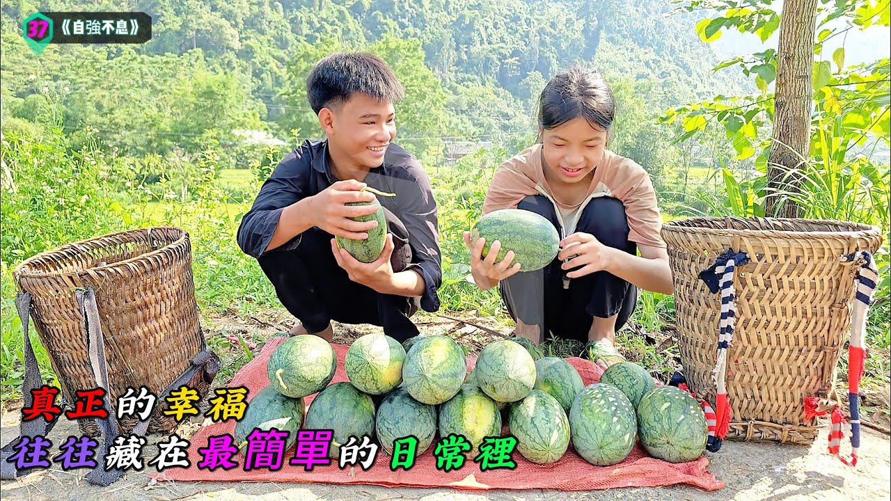 真正的幸福，往往藏在最簡單的日常裡《自強不息》37