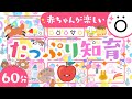 【赤ちゃん泣き止む】赤ちゃんが笑うたっぷり知育つめあわせ🍎ö│泣き止む アニメ│こどものうた【知育】