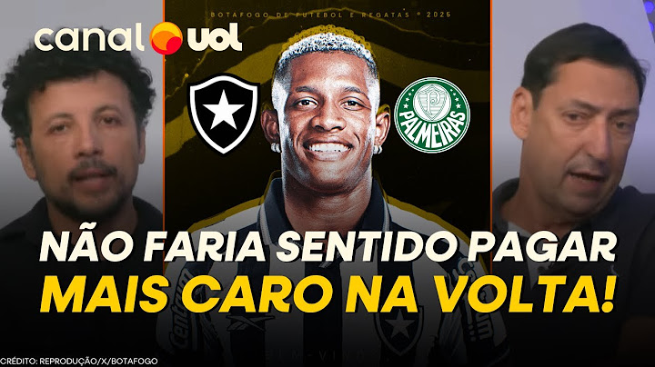 BOTAFOGO ANUNCIA CONTRATAÇÃO DE DANILO! PALMEIRAS DEIXOU ESCAPAR? REPOSIÇÃO A 2024 FOI BEM-FEITA?