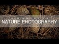 Capture Intimate Detail with Nature Photography