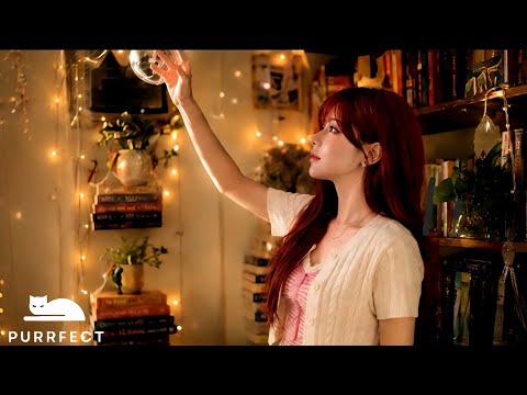 ANGELIX (안젤릭스) '𝓐ngel ' OFFICIAL MV