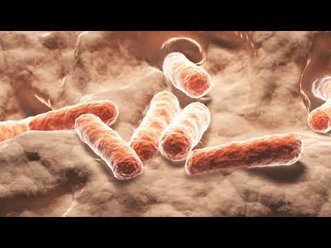 Природний контроль цукру в крові: кишкові мікроби як альтернатива Ozempic?