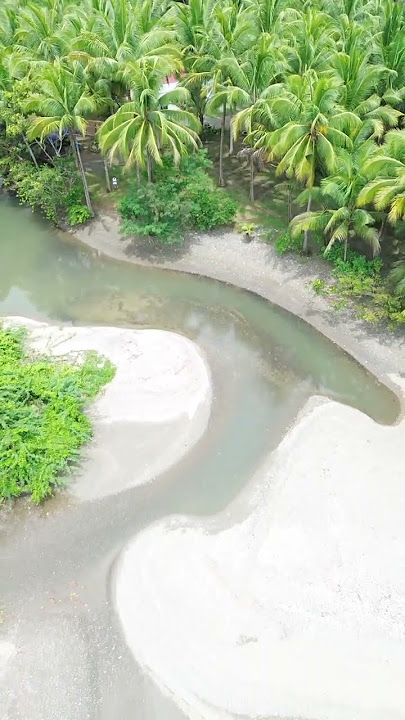 La Silva Beach Resort 🏄⛵ #drone #reels #beachresort #youtubeshorts #occidentalmindoro