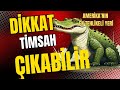 Amerika’nın En Tehlikeli Bölgesi | The Amerika | Metin Yıkar
