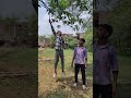#abe chalo aam todne #comedyfilms #comedyshorts #funny