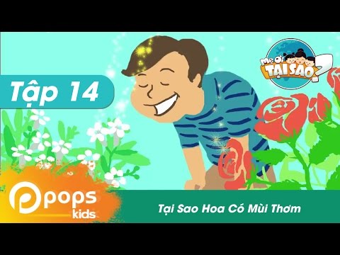 Video: Tại Sao Hoa Có Mùi