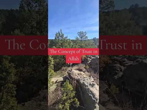 The Concept Of Trust In Allah