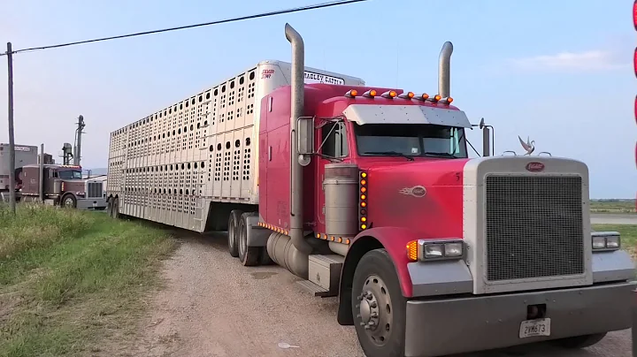 Pasture load Megargel, Texas