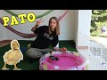 NUESTRA NUEVA PISCINA para PATO!! NUEVA MASCOTA SUPERGUAY!! Pato bebé!!