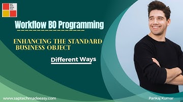 1.Workflow BO programming | Enhancing the Standard Business object | Different Ways