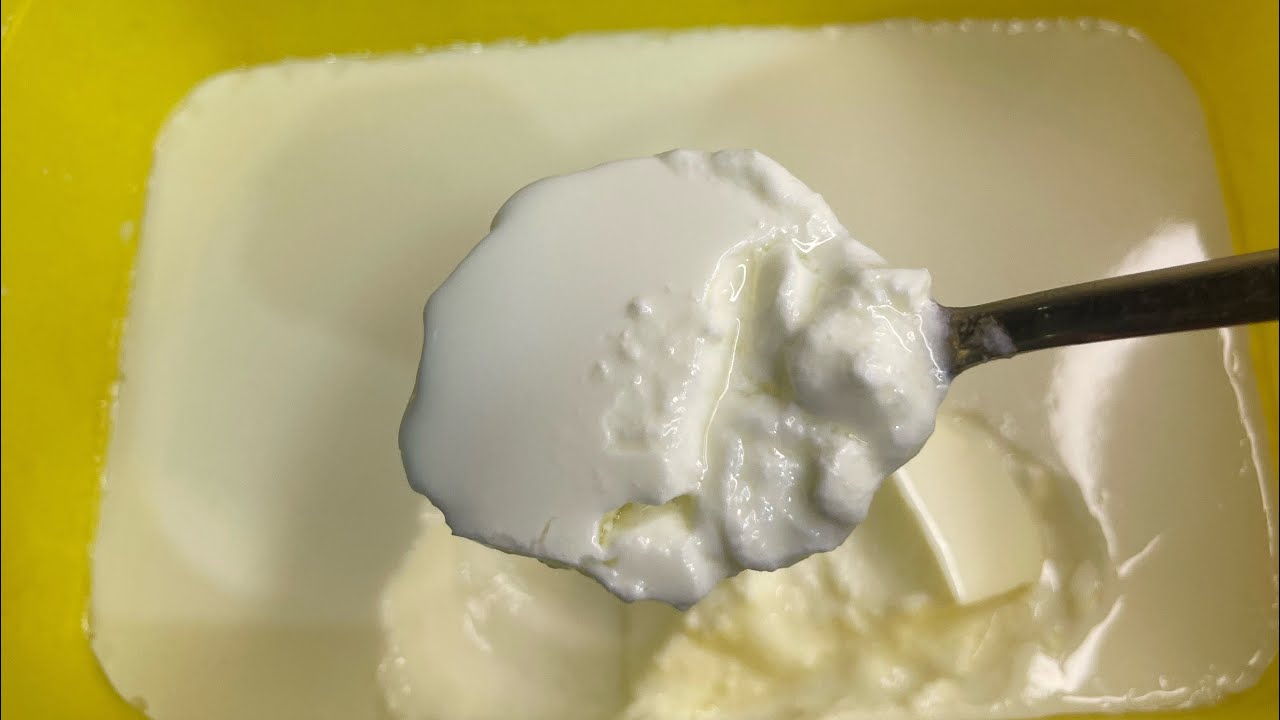 Homemade yoghurt with only 2 ingredients, so creamy YouTube