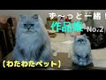 心あたたまる動画【ず〜っと一緒】猫 と 羊毛フェルト の作品集