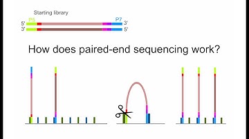 NGS How does paired end sequencing work?