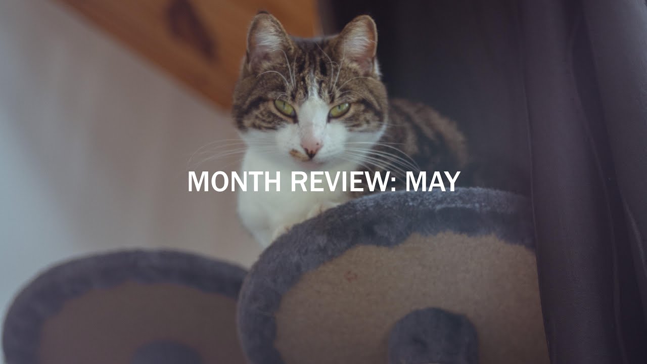 4 PEOPLE YOU SHOULD BE FOLLOWING | May Month Review