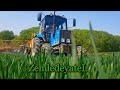 Опрыскивание озимой пшеницы МТЗ-920