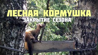 Лесная кормушка. Закрытие сезона