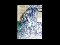 DEEP FOREST EMERGENCE - AVEELIWAV