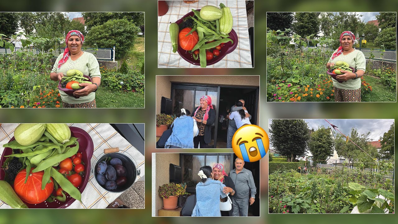 شوفوا شو قطفت بحديقتي 😻 وزرعت بصل 🧅 واستقبلت بناتي 🥺وهنن جاين من تركيا