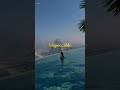 Luxurious Living: Discover the Best Properties in Dubai | Dubai Gini