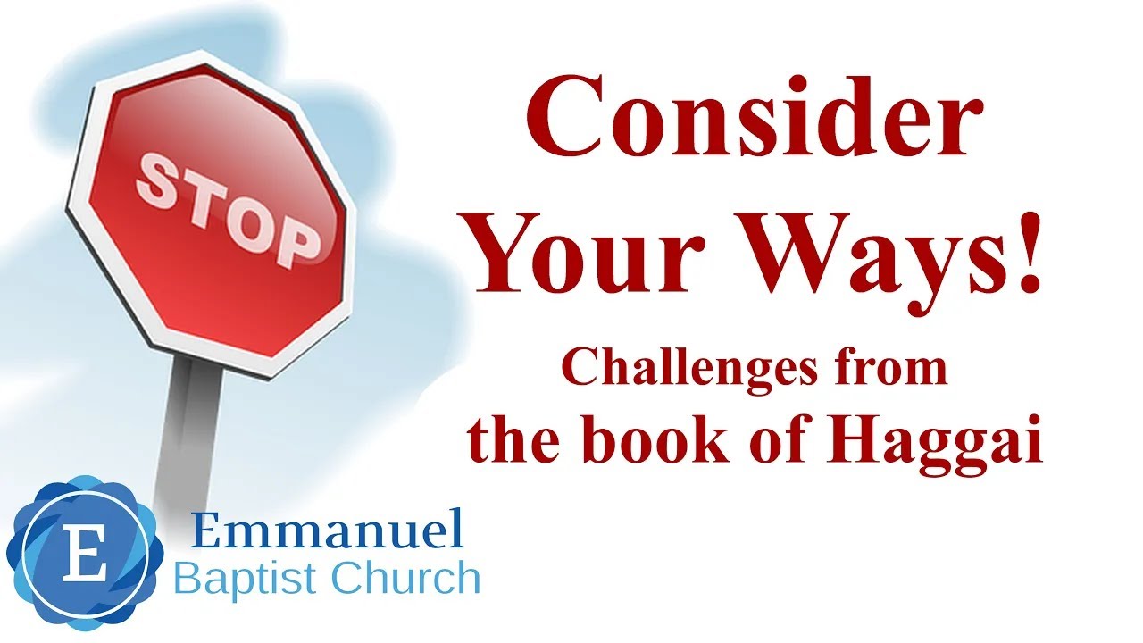 Consider your Ways - Joshua Schwerzler