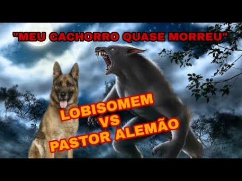 Vídeo: Um Ataque De Lobisomem A Um Pastor Alemão - Visão Alternativa