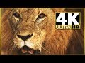 4k ultra demo stock footage