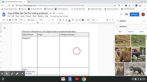 Using Google Doc Tools  Explore and Define