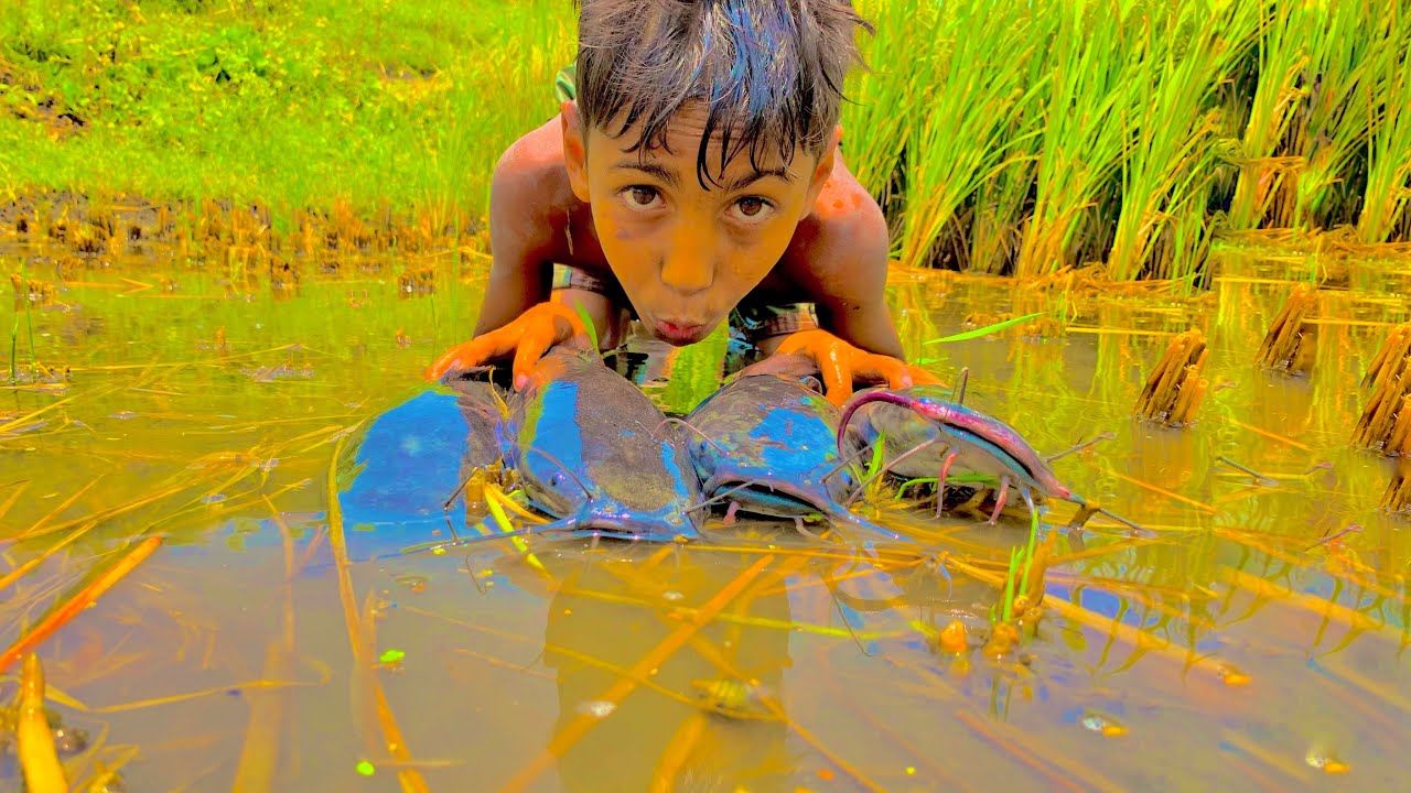 Top Fishing Video 2023 Experts Fishermen Big Fish Catching In Water