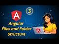 Angular Files And Folder Structure