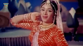 Tumko Piya Dil Diya Video Song | Shikari (1963) Movie Songs || Lata Mangeswar || Eagle Classic Songs