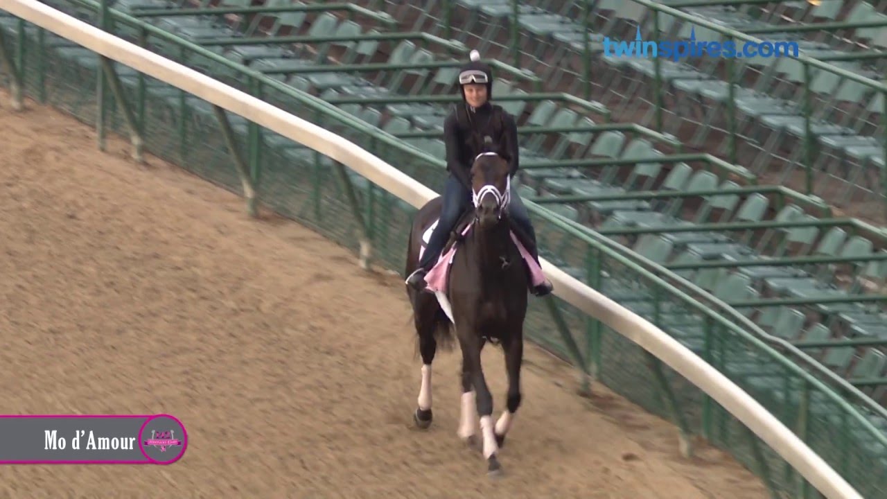 horseshoe bend Mo d'Amour gallops 4.27