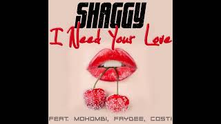 Shaggy/Costi/Mohombi/Faydee - I Need Your Love