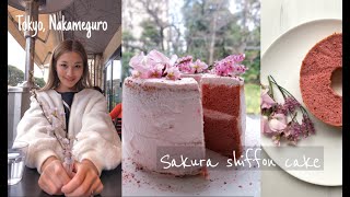 Sakura shiffon cake - spring cake in Japan