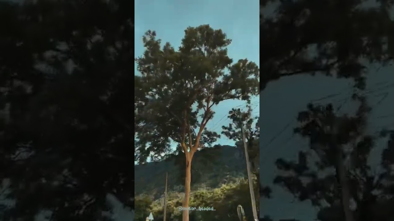 Travel shorts Thenmala - Rosemala forest Route | Travel status video |