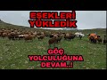 KAYBOLAN KUZUYU ARIYORUM --EŞEKLERİMİZİ YÜKLEDİK YOLCULUĞUMUZA DEVAM EDİYORUZ