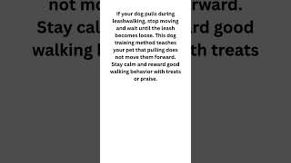 Dog Training Tips for Easy LeashWalking Without Pulling #shorts