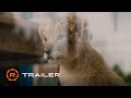 The Wolf and the Lion Official Trailer (2022) – Regal Theatres HD