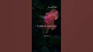 (ولسوف يعطيك ربك فترضى)#سورة الضحى#القارئ_فارس_عباد #قرآن_كريم #راحة_نفسية