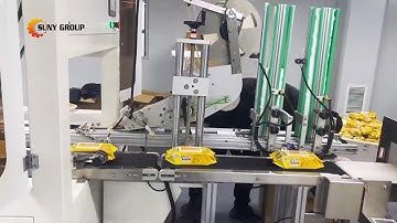 Fully Automatic Wet Wipes Production Line - Folding Packaging and Lid Applicator