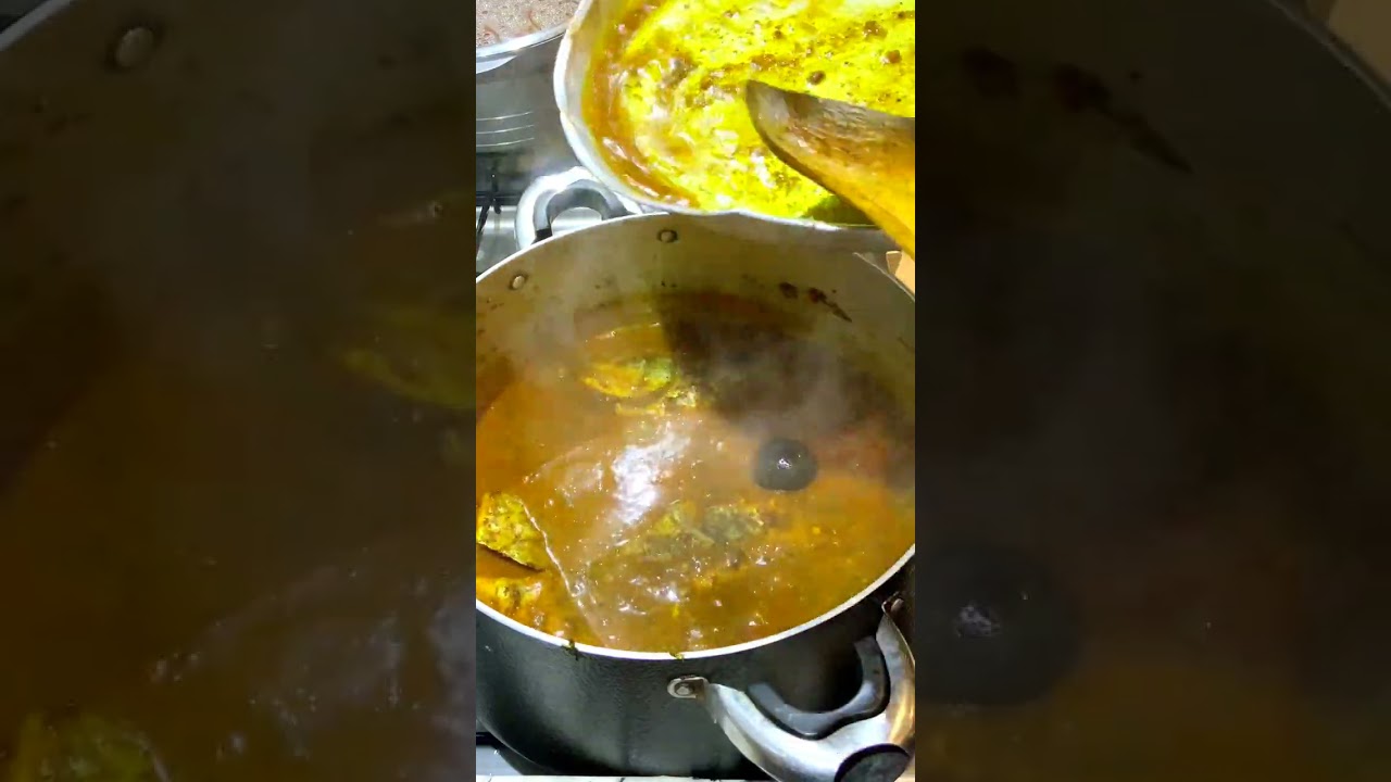 مرق السمك النوع (. شيم )