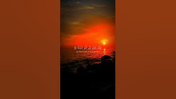 وكان الله غفورا رحيما #القرآن_الكريم #راحة_نفسية #تلاوة_خاشعة #أستغفرالله #quran #المصحف #اكسبلور