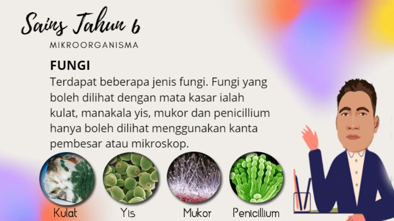 Sains Tahun 6 - Mikroorganisma Kelas.Live
