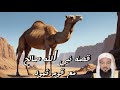 قصة النبي صالح كاملة معجزة الناقة ماذا حدث لقوم ثمود الشيخ محمد الشنقيطي 